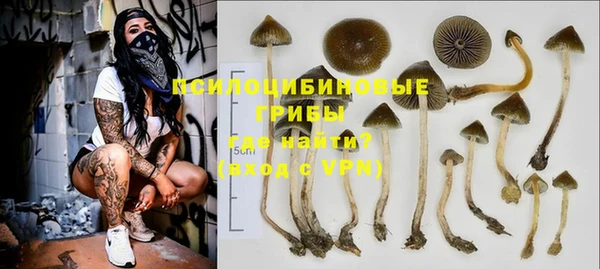 spice Абаза