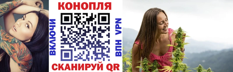 наркотики  Чекалин  blacksprut ссылка  МАРИХУАНА White Widow 